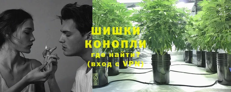 Где продают наркотики Горно-Алтайск ГАШИШ  КОКАИН  МЕФ  APVP  АМФ  мега зеркало  Бошки Шишки 